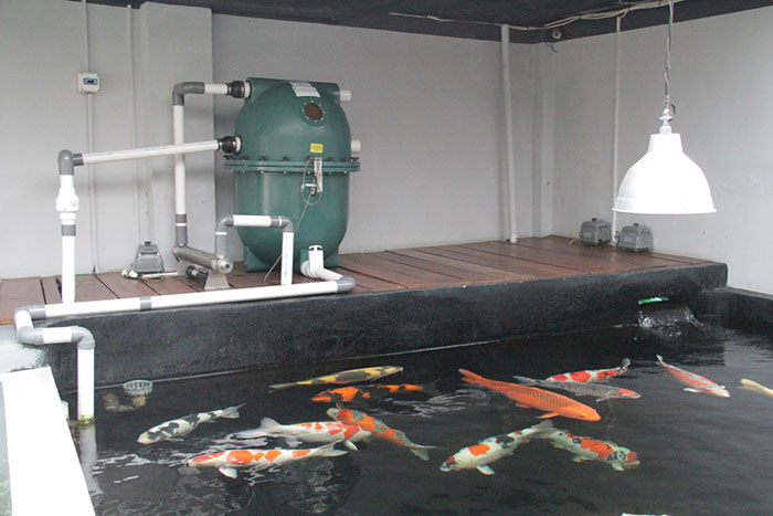 PolyGeyser-Filters-at-Private-Koi-Holding-Facility-in-Indonesia-1